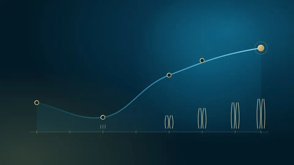 Illustrazione: la curva di crescita dopo un trapianto di capelli, che scende durante la caduta e sale fino al risultato finale