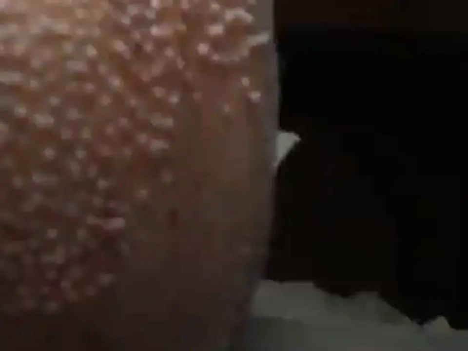 Primo piano di innesti appena posati